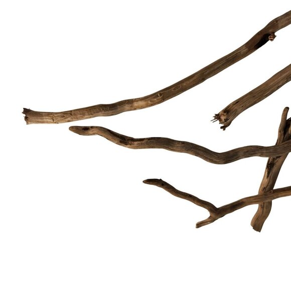 Natural Driftwood Pieces For Crafting & Home Decor 5 pieces - Picture 8 of 11